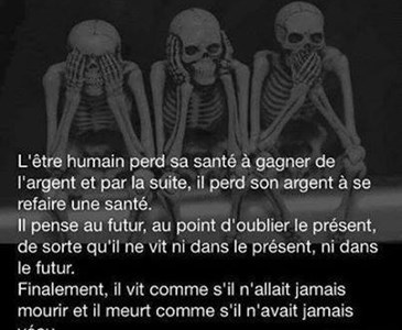 Citation Sur L Etre Humain Toluna