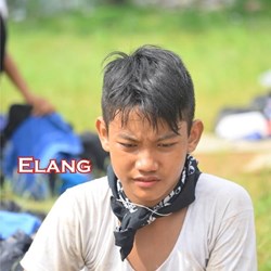 Elangwws