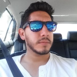 Ferball