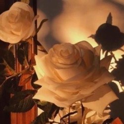 Xosunset1234