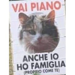 Lilicoco