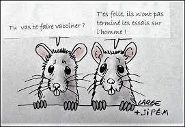 Humour Du Soir Bonsoir Toluna