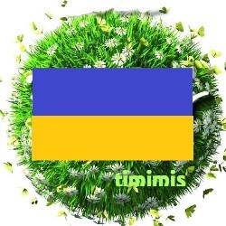 Timimis